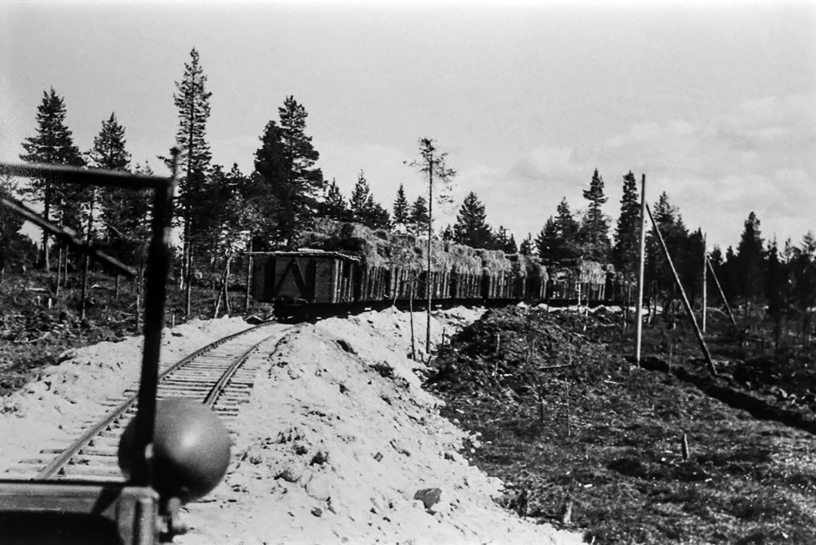 Rehujuna saapumassa rehuasemalle