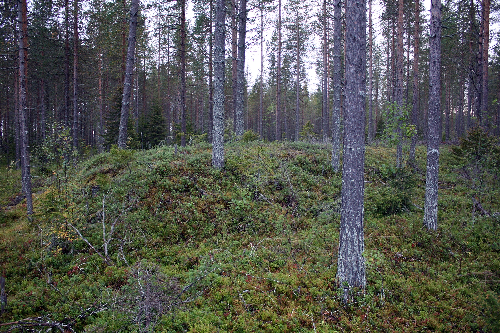 Kenttäradan pääte