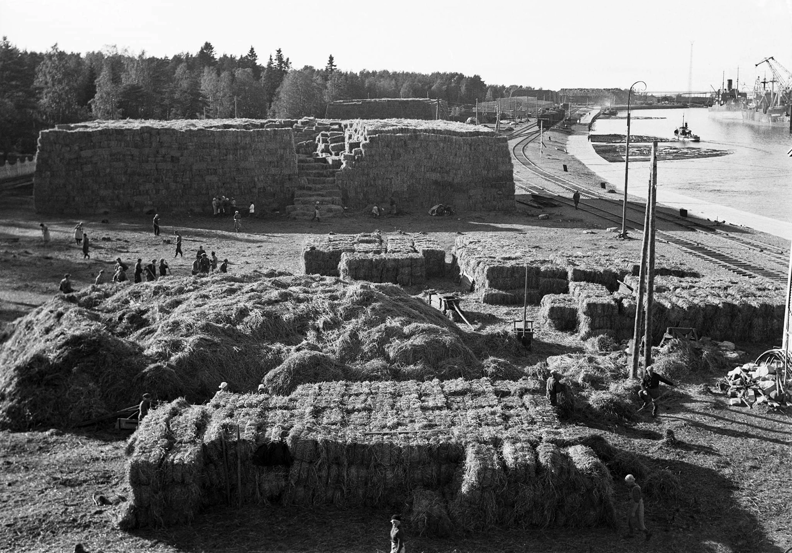 Toppilan sataman korsirehu kasoja