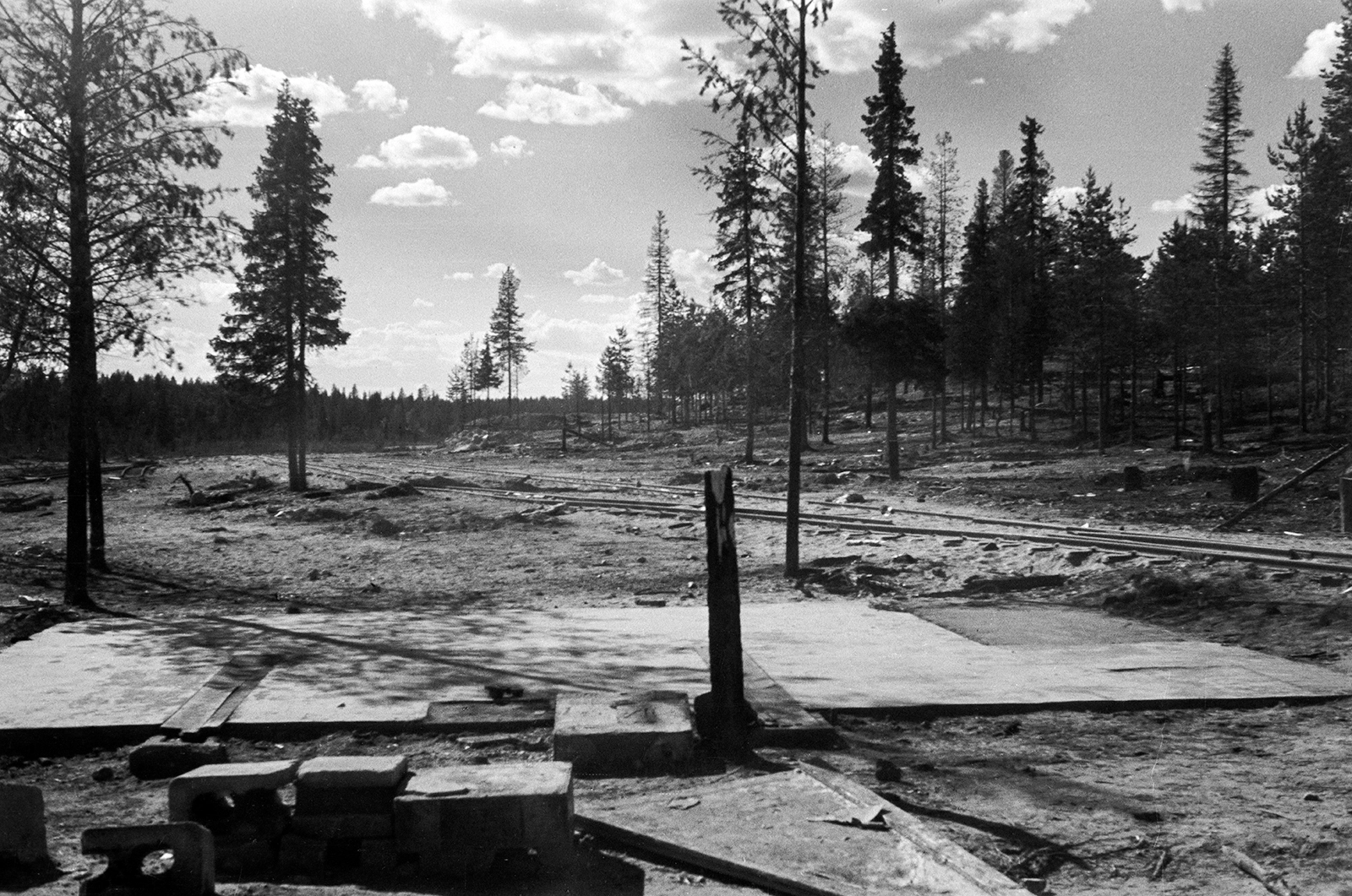Sänkikangas