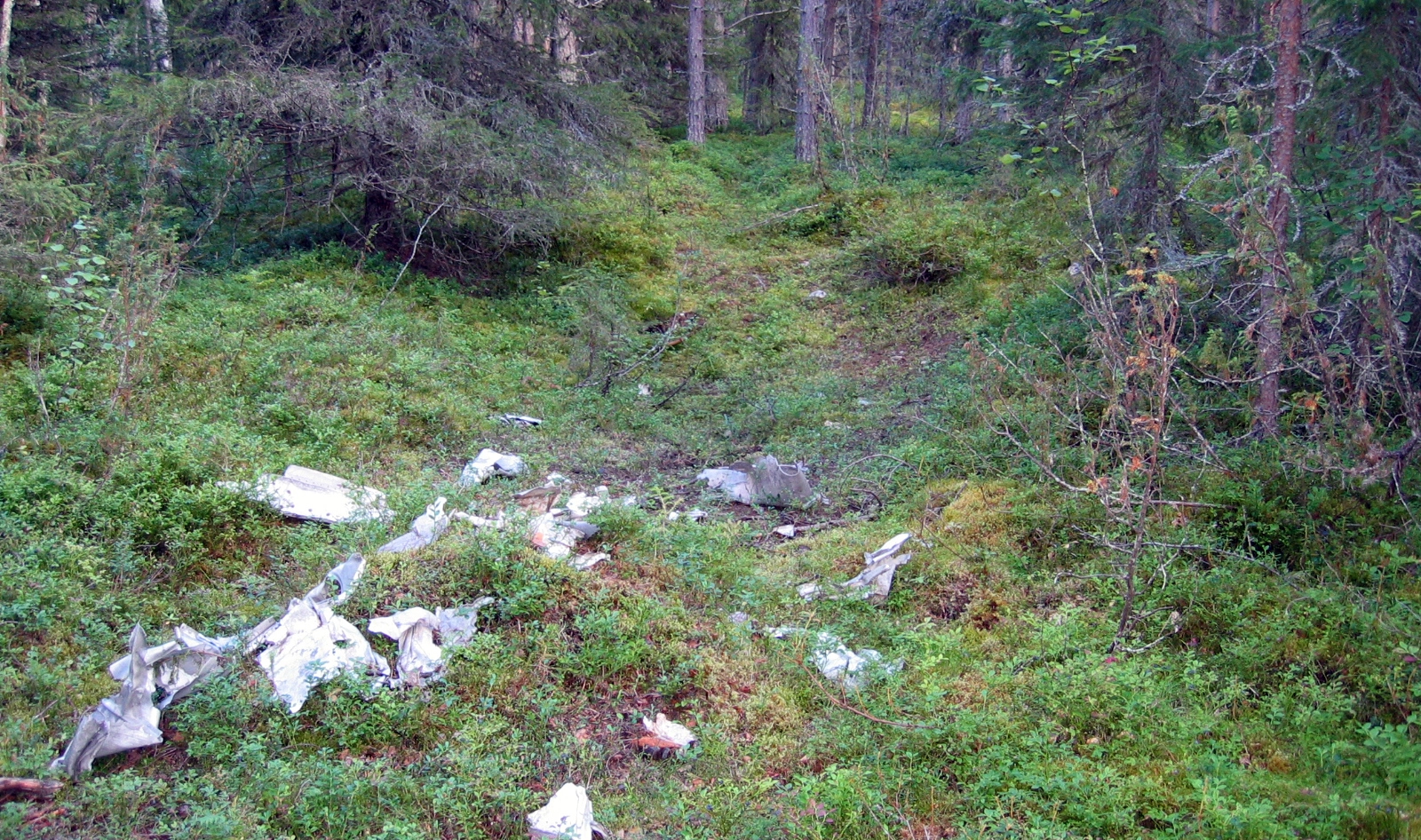 Putoamispaikka