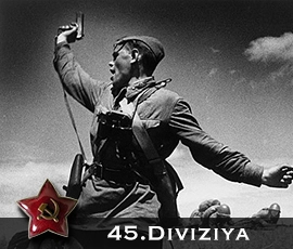 45. divisioona